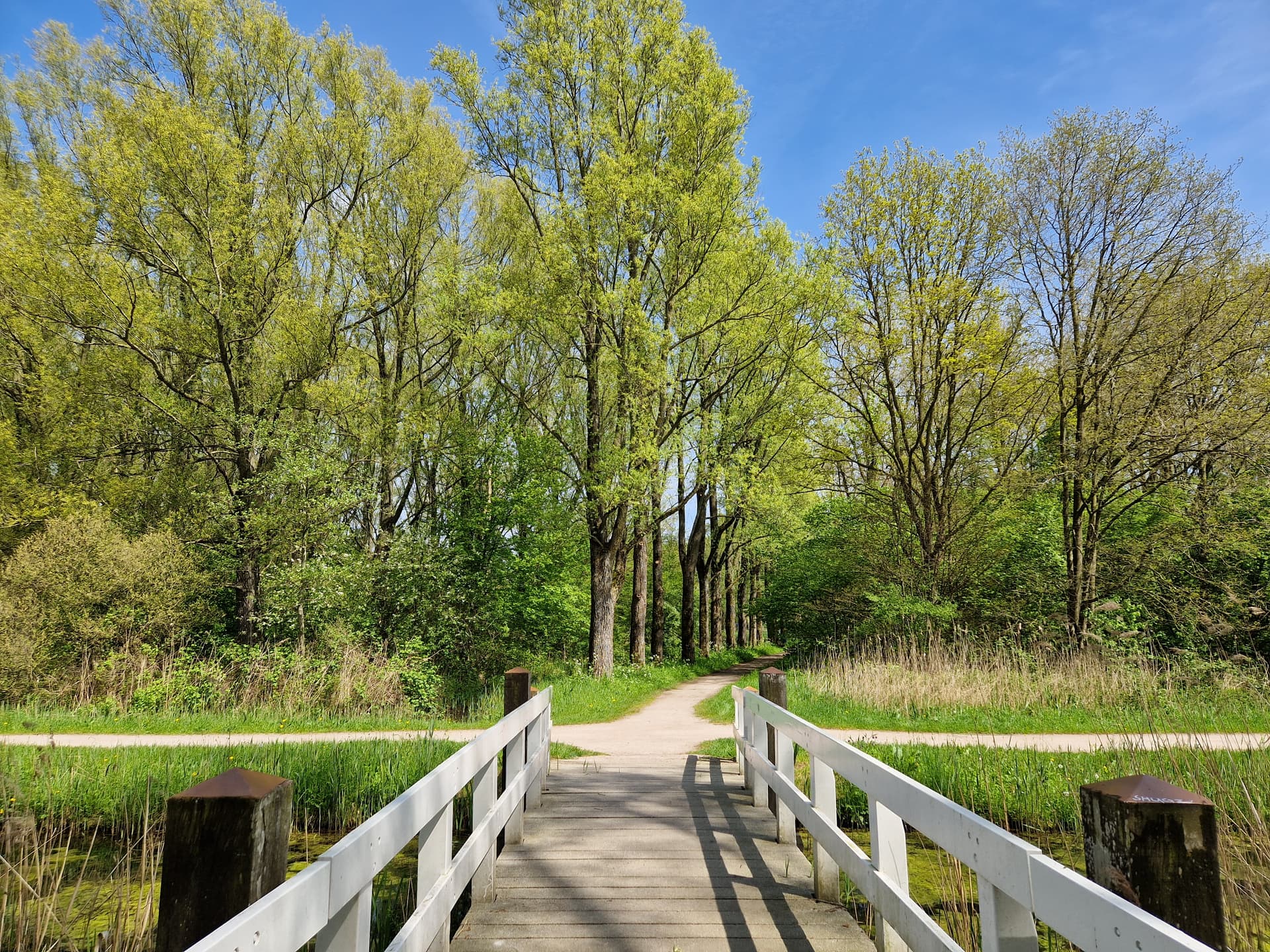 Spoolderbos