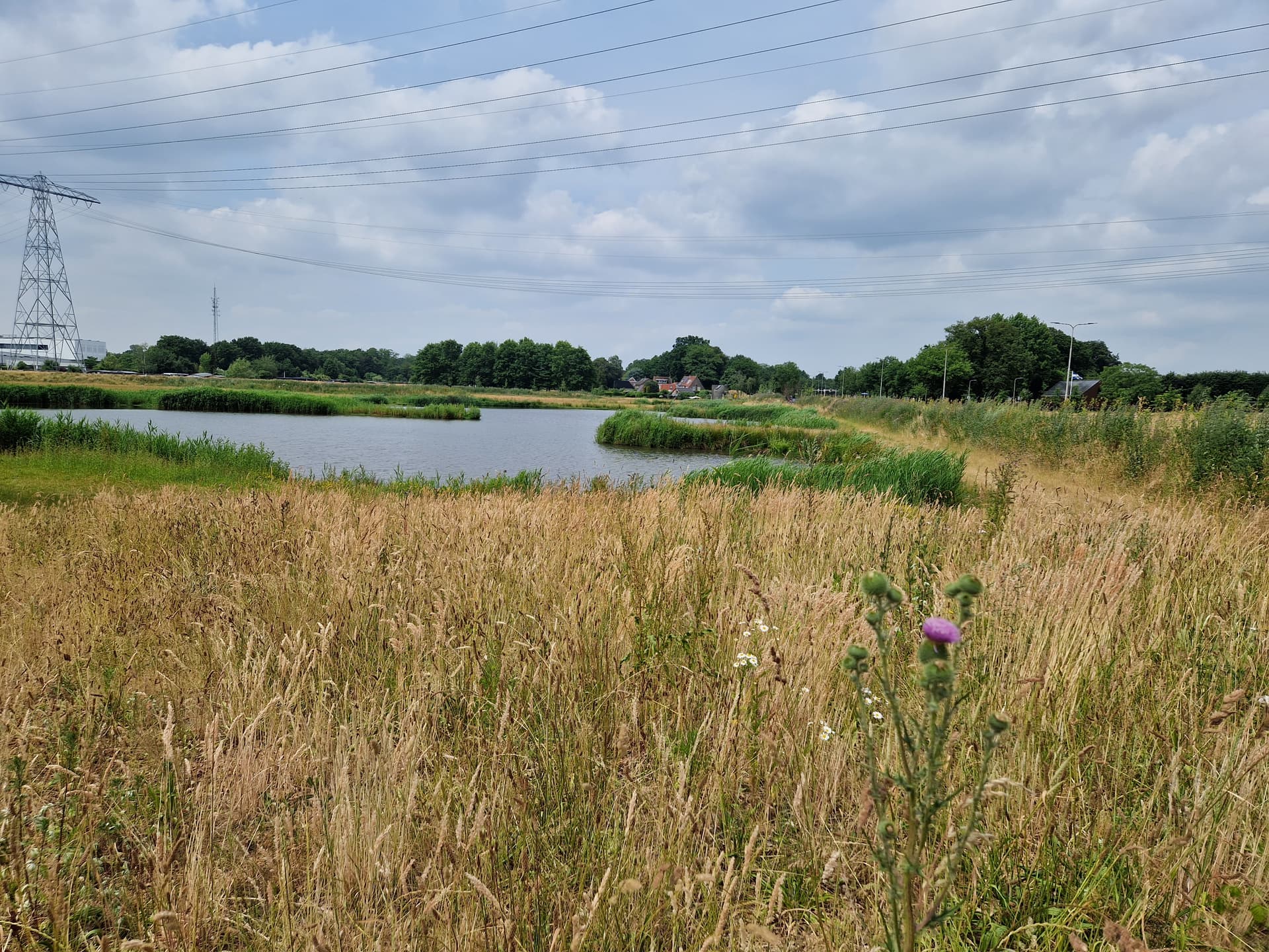 Zalnépark
