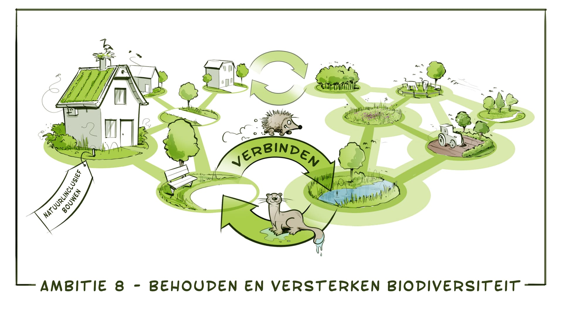 Ambitie 8 - behouden en versterken biodiversiteit