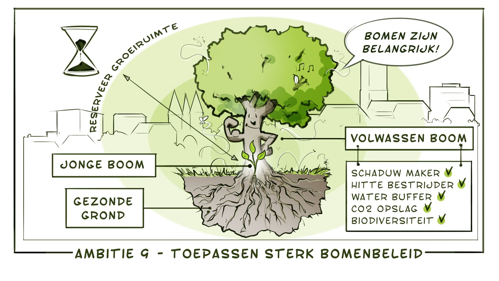 Ambitie 9 - toepassen sterk bomenbeleid