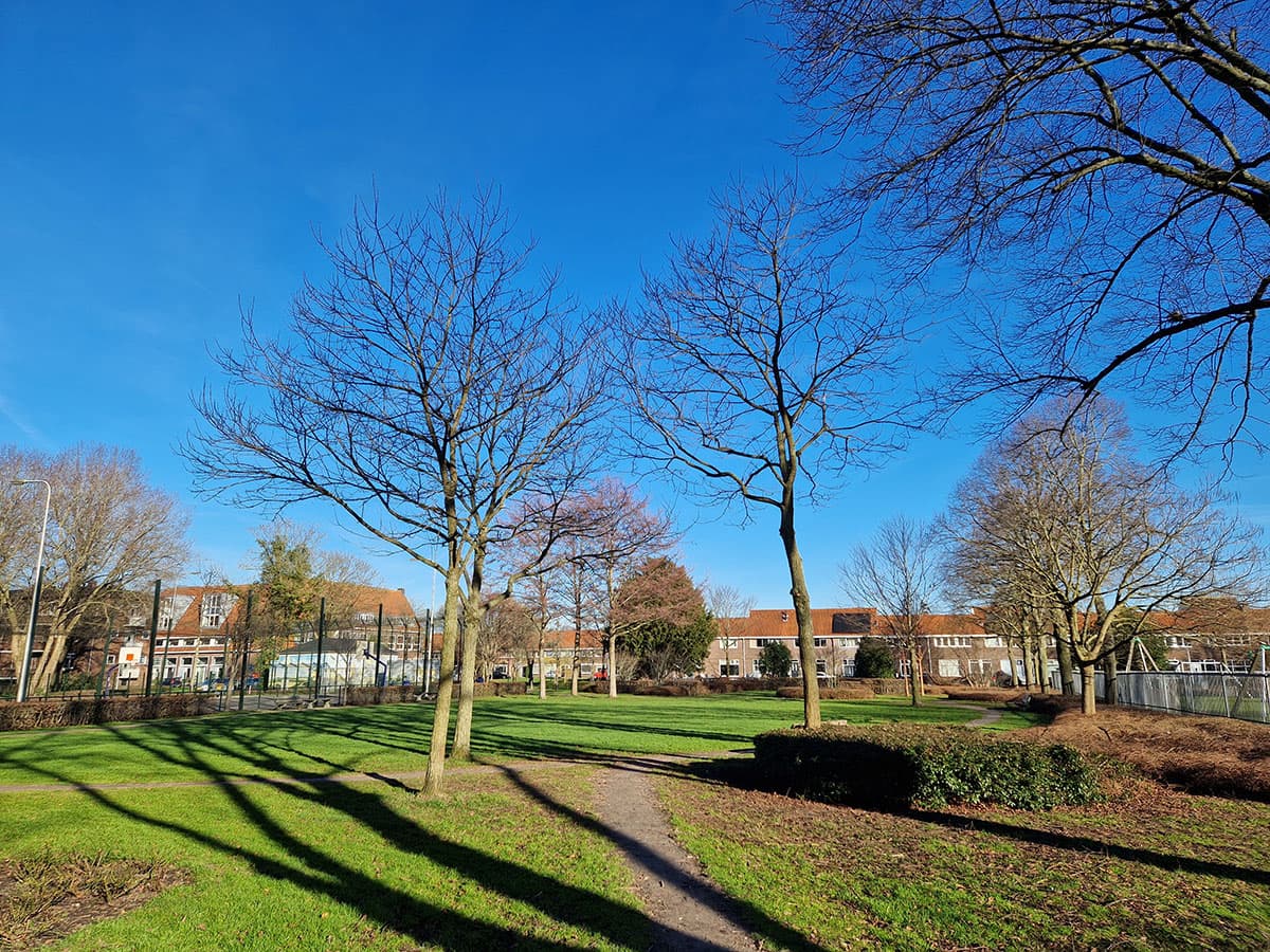Hobbemapark