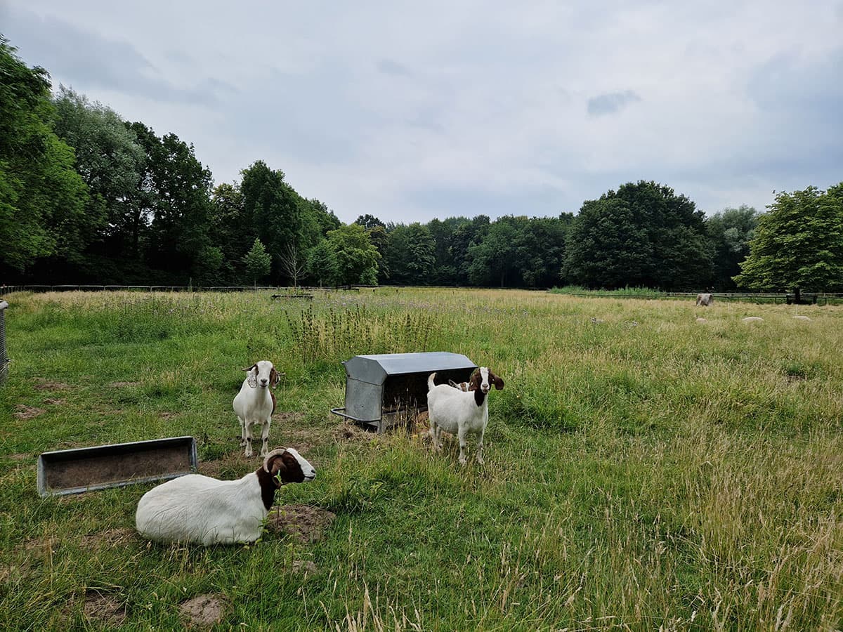 Park Eemhoeve