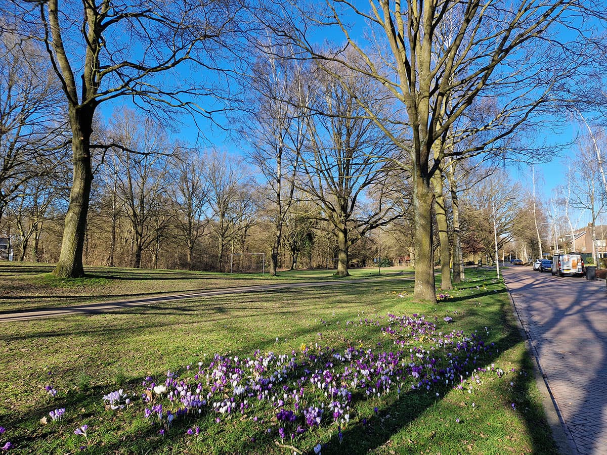Prins Clauspark