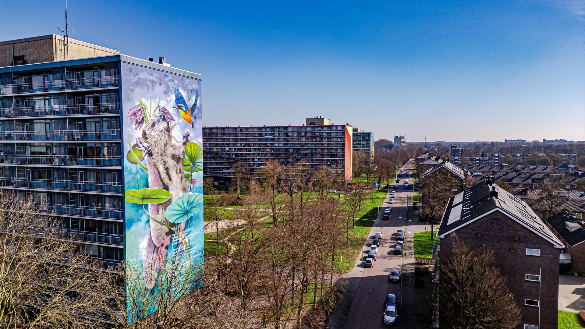 Palestrinalaan Kleurrijk Holtenbroek