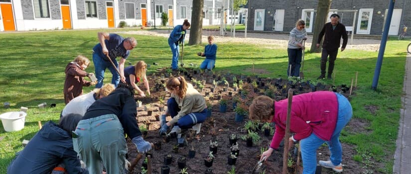 Bewoners aan het werk om de Schumannlaan te vergroenen