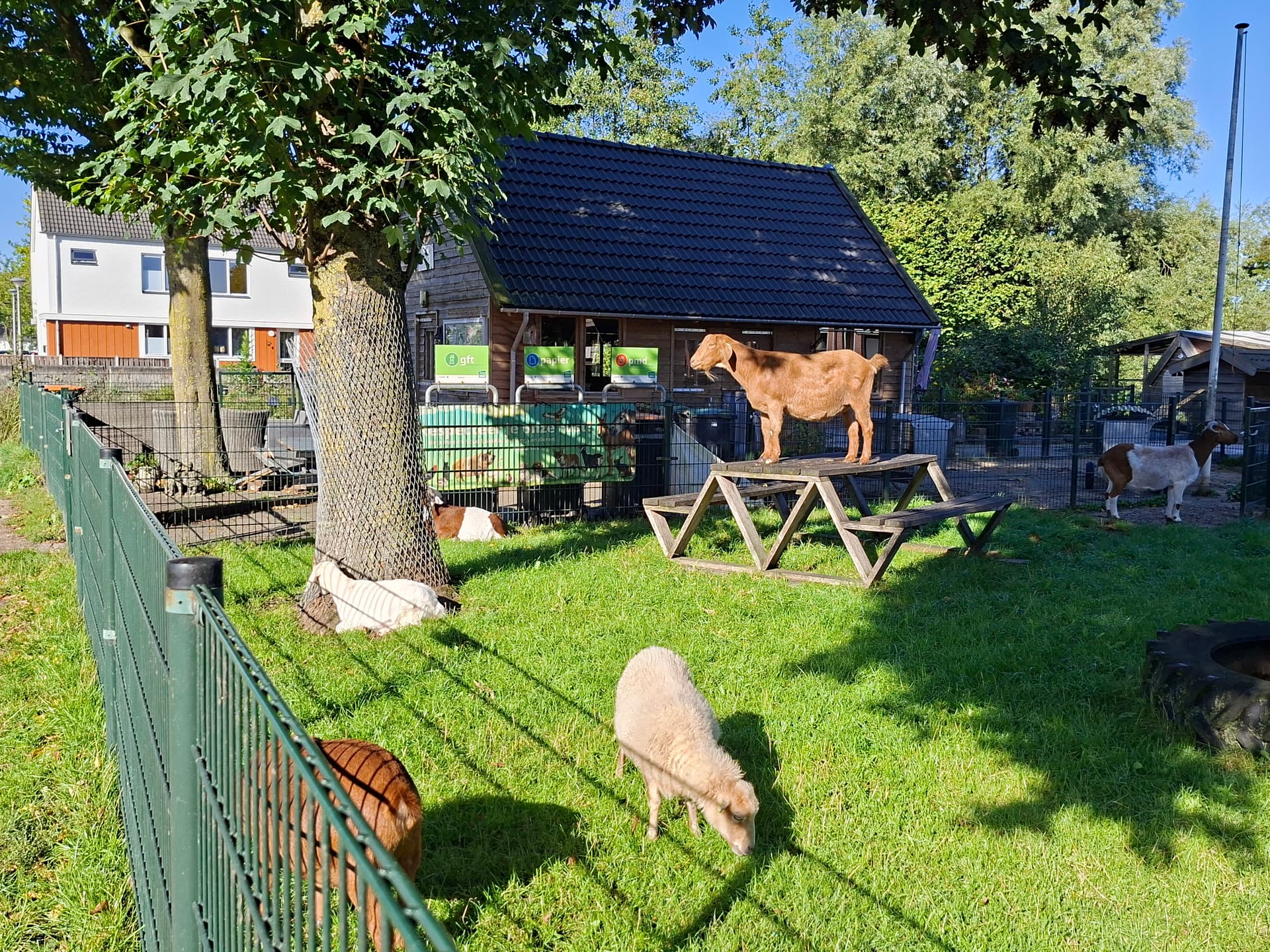 dierenweide