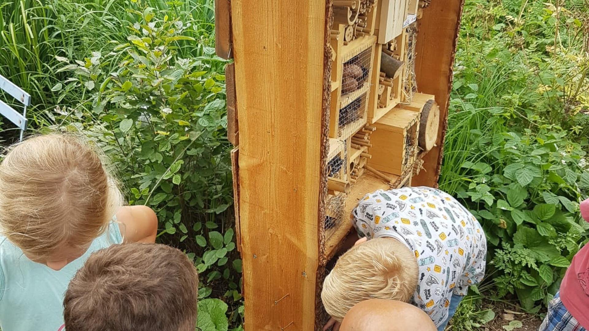 Workshop bijenhotel bouwen